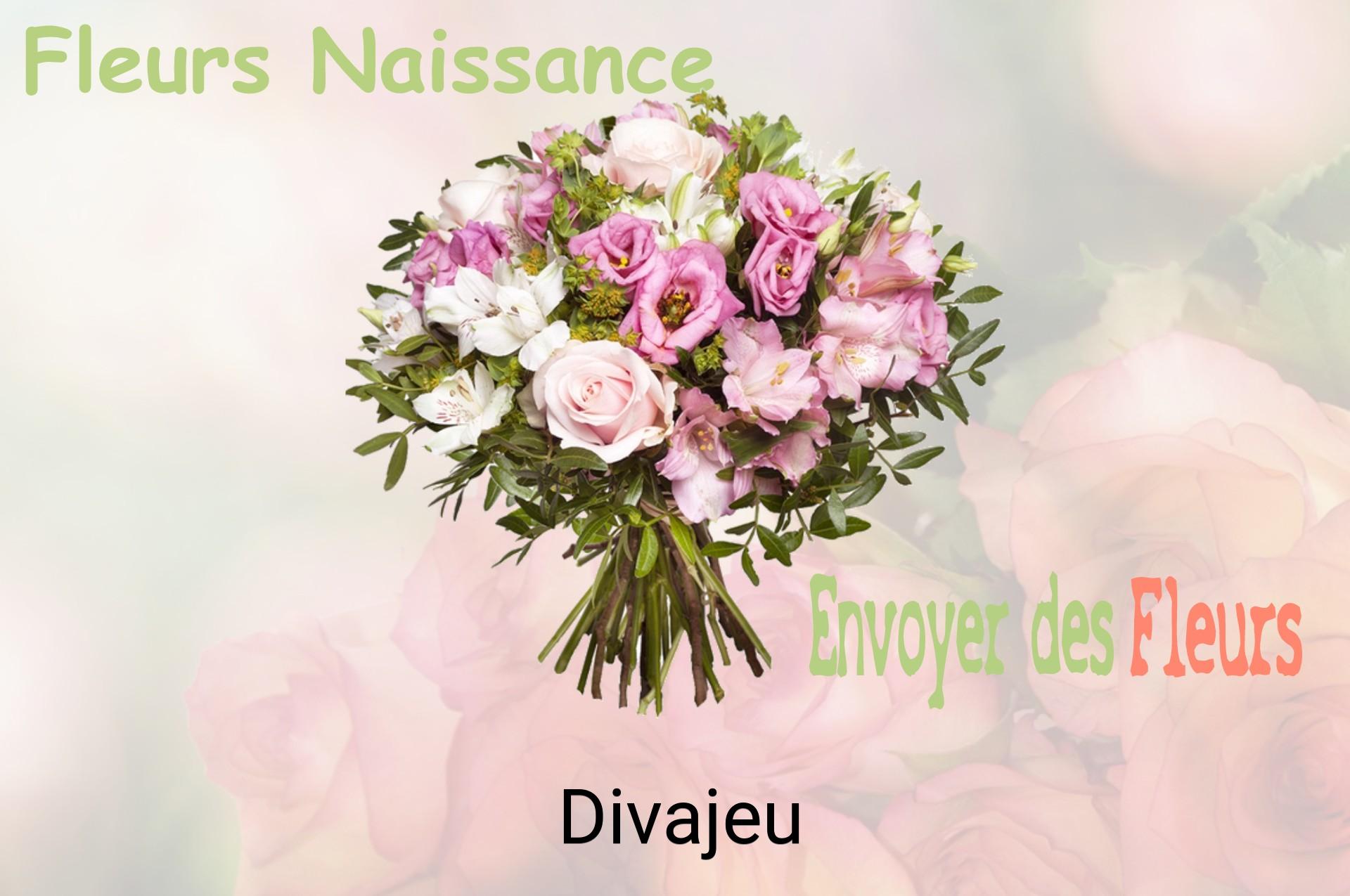 Bouquet de fleurs de naissance livré à Divajeu